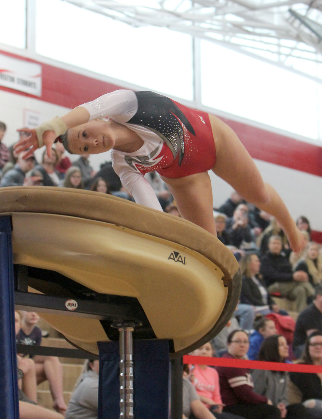 Big Rivers Conference Gymnastics Meet at Chippewa Falls 2-16-19